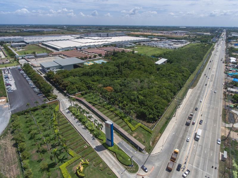 ป่านิเวศ(หลัง)